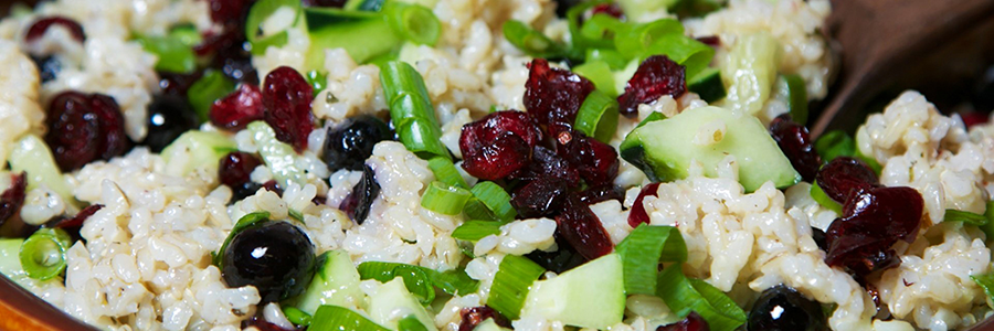 Close up view of a stoneware bowl filled with brown rice, fresh blueberries, dried cranberries, chopped cucumbers, and scallions, resting on a floral placemat.